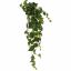 ENGLISH IVY BUSH 90CM GREEN