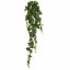 ENGLISH IVY BUSH 105CM GREEN