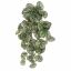 WATERMELON LEAF BUSH 50CM GREEN