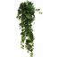 ENGLISH IVY BUSH 140CM GREEN