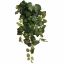 VINCA IVY BUSH 90CM GREEN