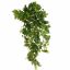 GRAPE LEAF BUSH 75CM GREEN