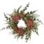 SUCCULENT WREATH 50CM RED