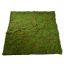 MOSS MAT 100X100CM GREEN