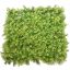 ASPARAGUS MAT 50X50 GREEN
