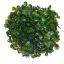 BOXWOOD BALL 15CM