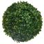 BOXWOOD BALL 23CM