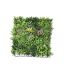 MIXED GREENWALL 100X100CM