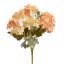 HYDRANGEA BUSH X 5 AMBER