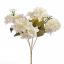 HYDRANGEA BUSH X 5 CREAM
