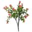 CAMPANULA BUSH 34CM SALMON