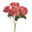 HYDRANGEA X5 BUSH 48CM BEAUTY