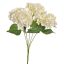 HYDRANGEA X5 BUSH 48CM CREAM