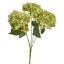 HYDRANGEA X5 BUSH 48CM GREEN
