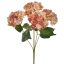 HYDRANGEA X5 BUSH 48CM PEACH