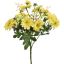 DAHLIA MUM BUSH 30CM GREEN