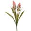 ALOE FLOWER PLANT 54CM ORANGE