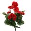 GERANIUM BUSH X9 H47CM RED