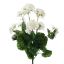 GERANIUM BUSH 49CM CREAM