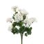 LARGE GERANIUM BUSH 55CM CREAM