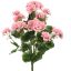 LARGE GERANIUM BUSH 55CM PINK