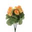 BASIC GERANIUM BUSH 47CM PEACH