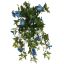 MORNING GLORY BUSH 60CM BLUE