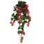BOUGAINVILLEA BUSH 65CM BEAUTY