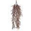 SPRENGERI HANGING BUSH 100CM BURGUNDY