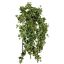 BUSH X 18 W/387LVS 70CM HOLLAND