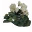 CYCLAMEN BUSH LARGE CREAM PINK