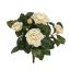 CAMELIA BUSH X 9 30CM CREAM PINK