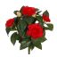 CAMELIA BUSH X 9 30CM RED