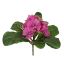 PRIMELA BUSH W/9LVS 19CM BEAUTY