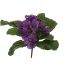 PRIMELA BUSH W/9LVS 19CM VIOLET