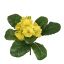 PRIMELA BUSH W/9LVS 19CM YELLOW