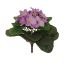 AFRICAN VIOLET BUSH 18CM PURPLE