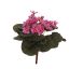 SAINTPAULIA BUSH 22CM MAUVE