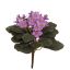 SAINTPAULIA BUSH 22CM PURPLE