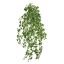 MINI IVY BUSH W/740 LVS 90CM HOLLAND IVY