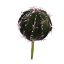 SMALL BALL CACTUS 16CM GREEN