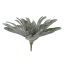 PLATYCERUM BUSH 29CM GREY
