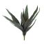 MEDIUM ALOE 41CM GREEN
