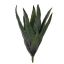 LARGE ALOE 60CM GREEN