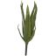 MEDIUM ALOE 36CM GREEN