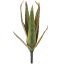 MEDIUM ALOE 36CM YELLOW GREEN