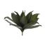 LARGE ECHEVERIA 48CM GREEN