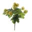 HOPS BUSH X 6 27CM GREEN