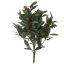 OLIVE BUSH X 5 W/BERRY 43CM GREEN