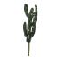 CACTUS PICK 28CM GREEN